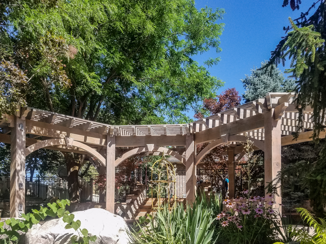 bleach pergola